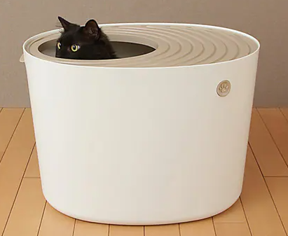 上から猫トイレの中にいる猫