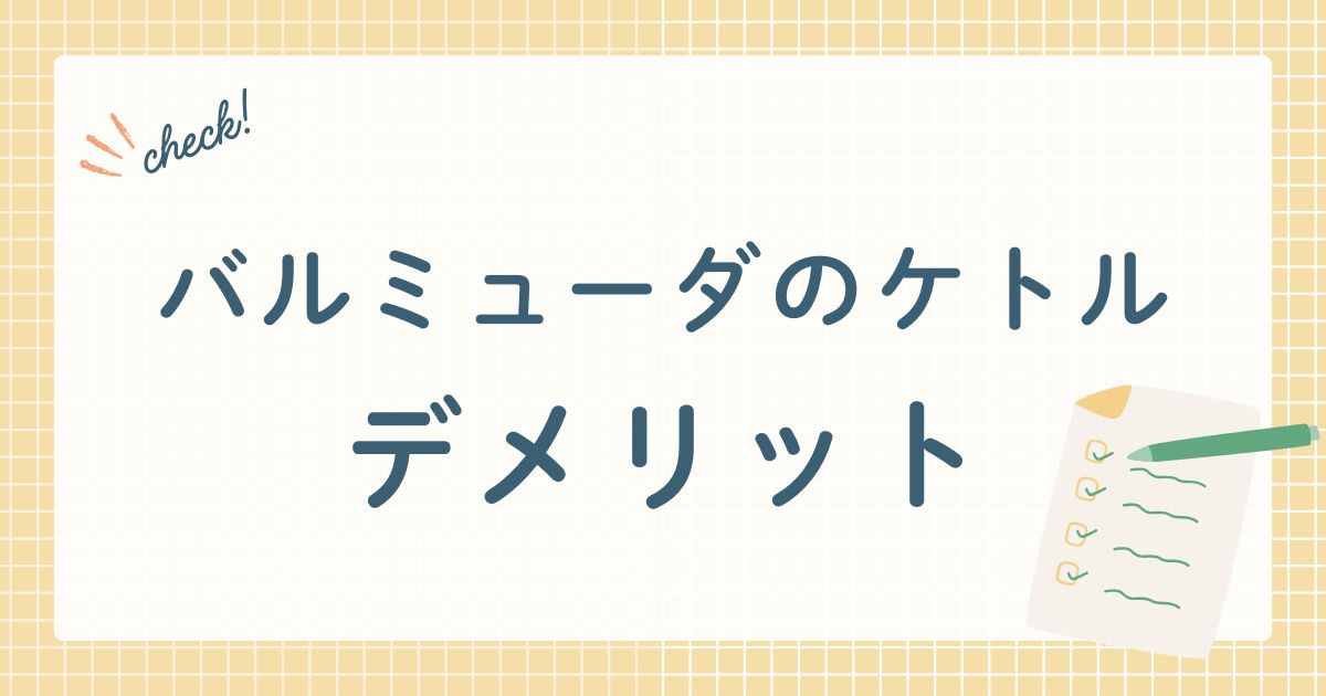 バルミューダ株式会社が製造・販売する電気ケトル