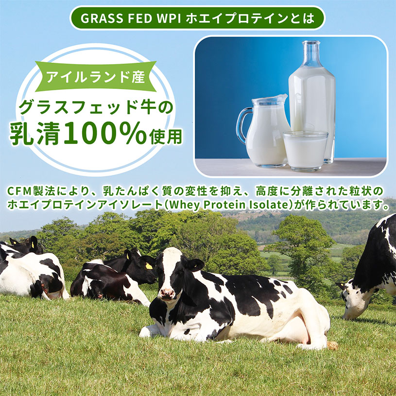 グラスフェッドプロテイン