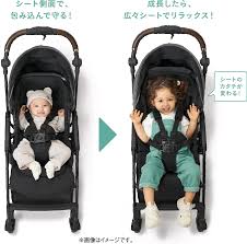 スゴカルminimo